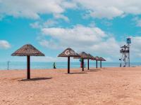 大卢河入海口、城市阳台…西海岸隐珠街道20张美图，约么