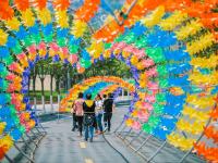 赏花风车季！10万只彩色风车等你来打卡