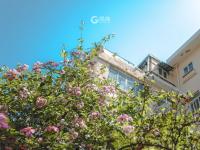 陵县支路：招牌式红瓦绿树蓝天！漫画风的老街小景 | 百年·百街⑩