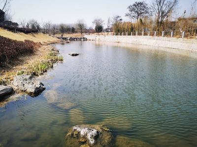 青岛四部门联合发文：三年内完成全市现有82条农村黑臭水体治理