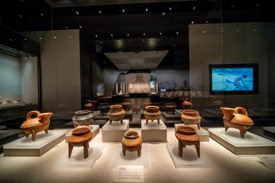 神奇博物馆在哪里？跟着观海“云逛展”吧