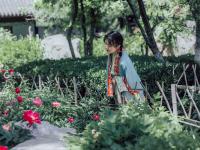 看！牡丹与园林的绝妙搭配都在这儿|云游青岛