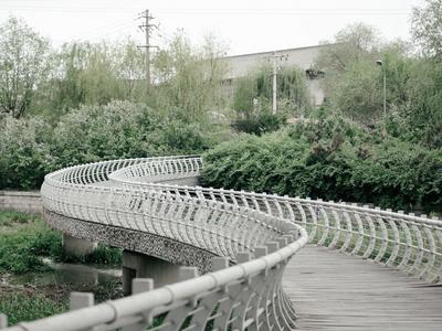 低饱和养眼壁纸！来看张村河畔的清新夏意