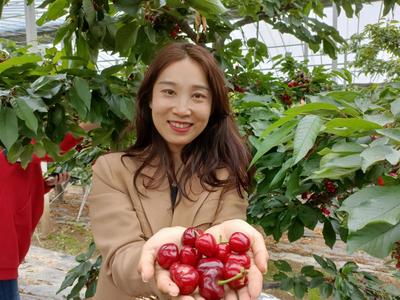 首届青岛缤纷水果节开幕