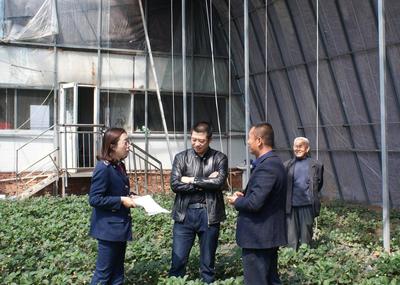 培育涉农商标4000多件，胶州鼓励特色农品做强品牌