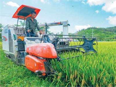 平均亩产1004.83公斤！袁隆平院士团队再传喜讯