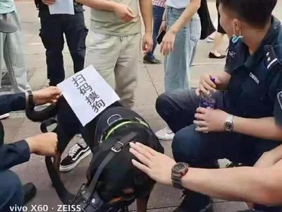 扫码就可摸狗！你不知道，警察蜀黍为了宣传反诈有多努力
