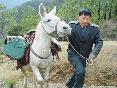 坚守“马班邮路”30余年！“感动中国”邮递员王顺友因病逝世，享年56岁