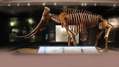 世界博物馆日 | 穿越千年，和历史来场“跨时空对话”