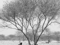 非洲维和实拍：60度高温沙漠，中国工兵找到水源打出数口井