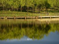 大卢河入海口、城市阳台…西海岸隐珠街道20张美图，约么