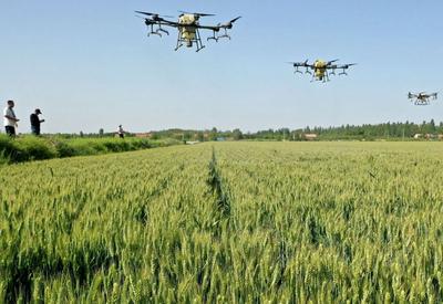 即墨麦田实拍：50万亩！无人机洒农药