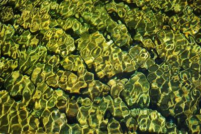 又美成了油画！夏日北九水的色彩太治愈