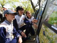 爱鸟、护鸟、画鸟……看孩子们用这种方式守护鸟类家园