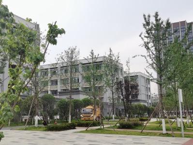 还原成都49中学生坠亡事件：关键监控有无缺失？孩子为何走到这一步？