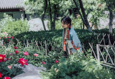 看！牡丹与园林的绝妙搭配都在这儿|云游青岛