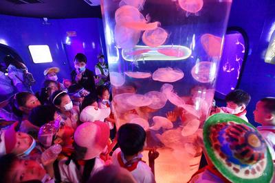 第13个世界海洋日：让孩子们畅游在“海底世界”感受自然真奇妙！