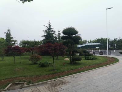 空间更开阔，城市更开放！青岛启动拆除“不便利”“不协调”市政围栏工作