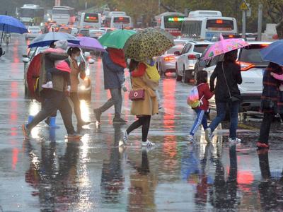 降雨+大雾！未来三天雨水频繁，青岛最高气温略降