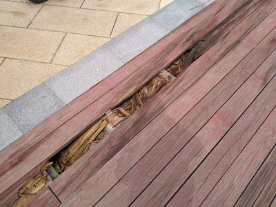 记者在现场·回访｜人才公园木栈道仍有破损，安全隐患不容忽视