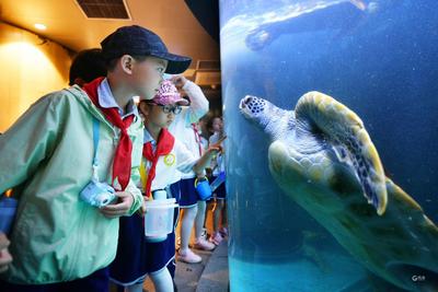 第13个世界海洋日：让孩子们畅游在“海底世界”感受自然真奇妙！