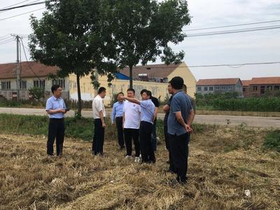准确确定火点经纬度！秸秆禁烧，青岛这个区用上卫星遥感技术