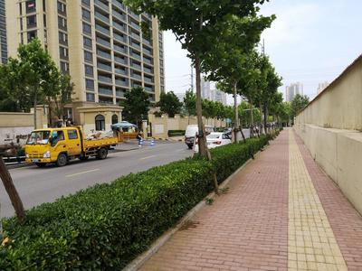 吐槽吧·回访 |垃圾桶摆放位置被调 小区周边环境改善