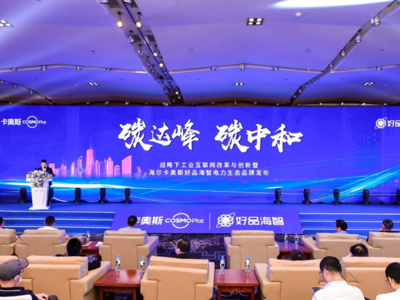工业互联网助力企业奔向“双碳”时代！卡奥斯定制智慧电力场景方案