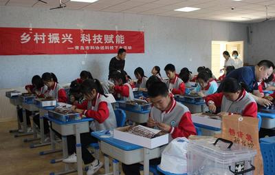 送科技“下乡”！青岛科技节进校园活动，为平度学生打造科技盛会
