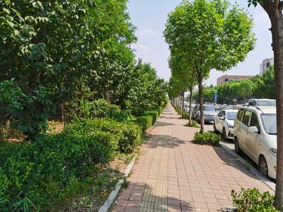 微调查•回访 | 白沙上苑小区东侧河流河堤环境改善