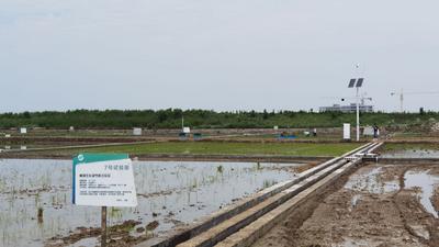 工业互联网小帧探第二季④ | 5G+智慧农业=？这个示范项目有答案