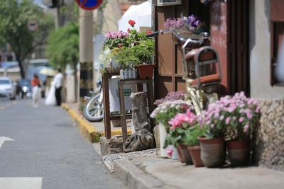 漫步青岛老城区，欣赏龙江路不老容颜 | 百年·百街⑫