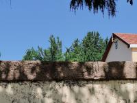 青岛最早建成的马路之一,江苏路上的“方”寸光影| 百年·百街⑬