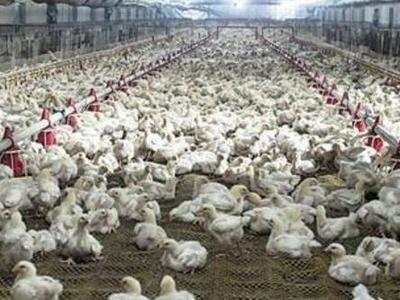 青岛一家企业入选农业国际贸易高质量发展基地认定名单