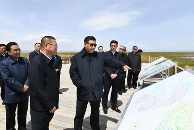 时习之 | 鱼鸟共生、山青湖晏，青海向总书记“交卷”