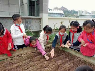 青岛首个国家级营养社区，在这里！