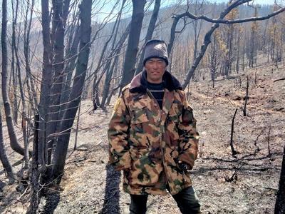 四川理塘野猪泛滥，一村支书在巡山途中遇袭身亡