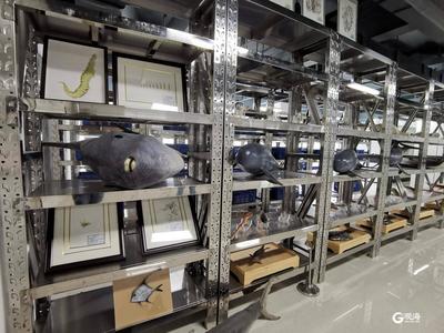 建设现代海洋渔业生物资源的“诺亚方舟”  国家级海洋渔业生物种质资源库已收集保藏海洋渔业生物样品10余万份，本月将全部入库