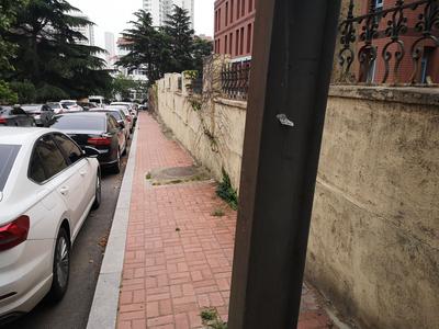 吐槽吧·回访|移灌木 换铺装 金坛二路人行道变了样