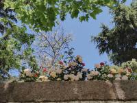 青岛最早建成的马路之一,江苏路上的“方”寸光影| 百年·百街⑬