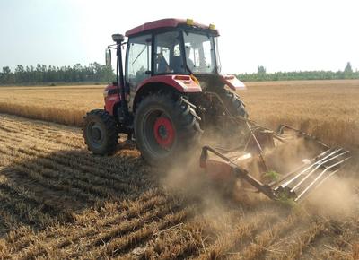 胶州40余万亩小麦丰收在望，预计6月下旬完成收割