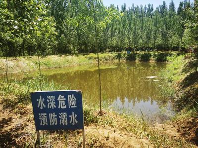 不做“孤泳者”！即墨区进村开展防溺水安全宣传志愿活动