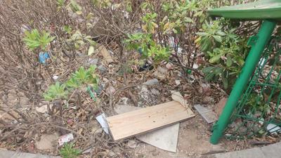 记者在现场 | 已整改！李沧这个小区的绿化带垃圾被清理了