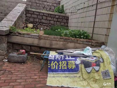 区委书记不打招呼直插现场，市南曝光这些环境问题