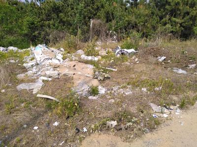 记者在现场|公园路旁存垃圾 市民呼吁快清理