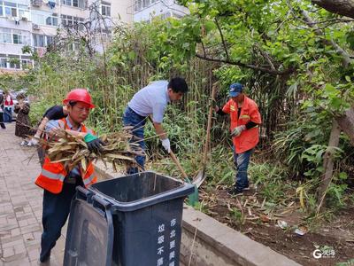 一线吹哨 一呼百应 大港街道联动统战资源赋能助力打造文明洁净城区