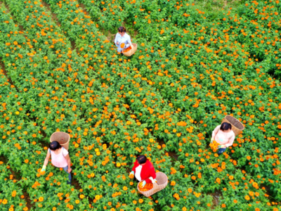 推动“扶智”与“扶志”结合到位，即墨东西部扶贫协作向甘肃漳县捐款150万元