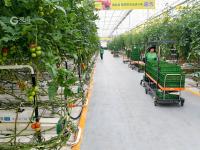 “亚洲最大的单体智慧温室”长这样！