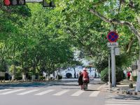 青岛最早建成的马路之一,江苏路上的“方”寸光影| 百年·百街⑬