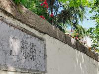 青岛最早建成的马路之一,江苏路上的“方”寸光影| 百年·百街⑬